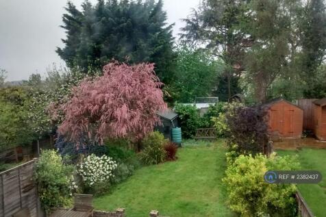Back Garden