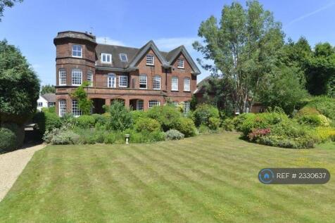 Back Garden