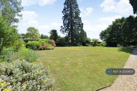 Back Garden