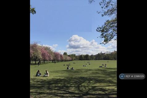 Meadows: 3 Mn Walk