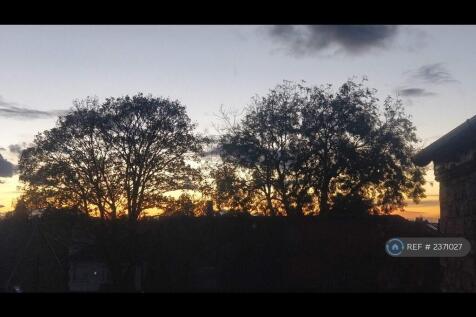 Sunset View