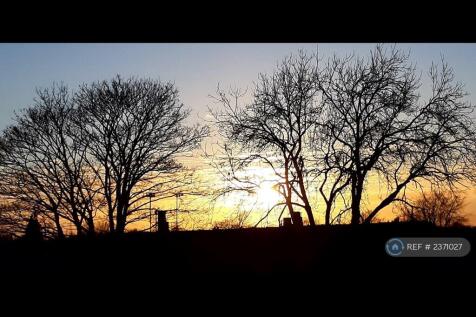 Sunset View
