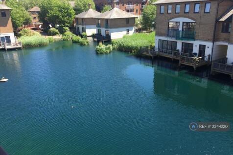 The Lake