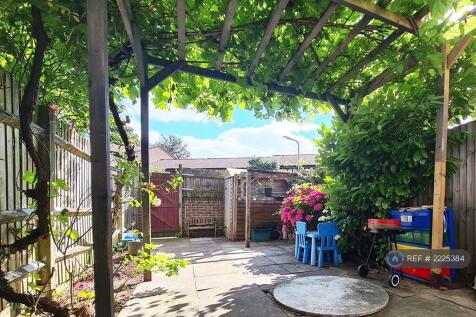 Garden - Grape Vine Pergola