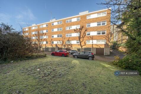 Back Garden And Parking