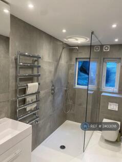 Walk-In Shower And Windows