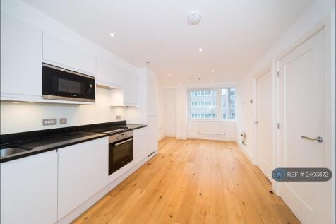 Kitchen Area/Living Room