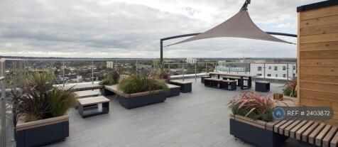 Roof Top Terrace