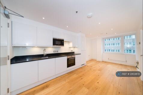 Kitchen Area/Living Room