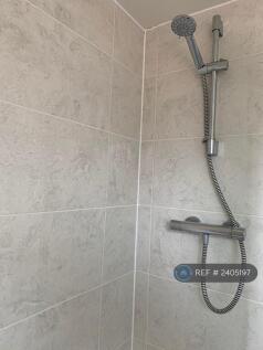 Shower Family Bathroom