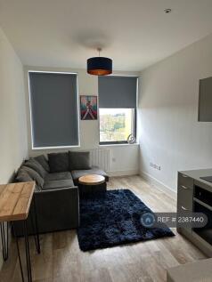 Open Plan Living Room &#43; Kitchen 