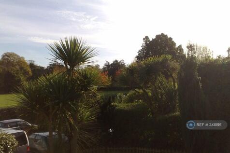 View From Garden