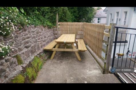Rear Patio