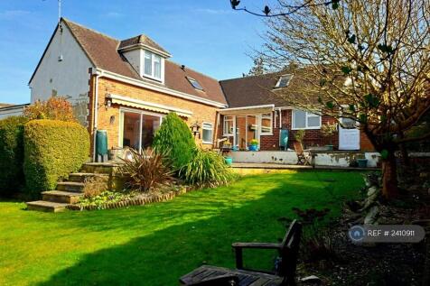 Back Garden &amp; Patio