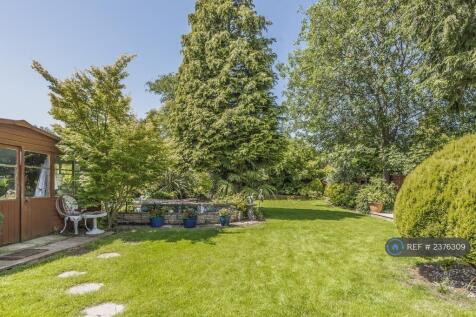 Back Garden