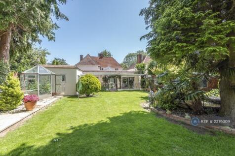 Back Garden