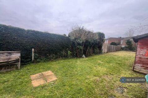 Back Garden 