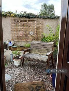 Back Garden