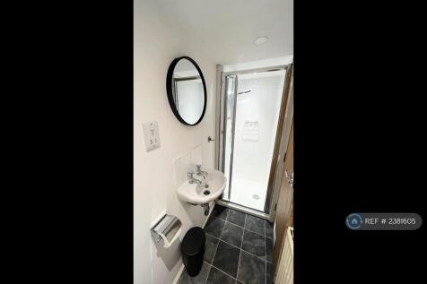 Basement Bathroom