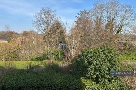 View From House 2