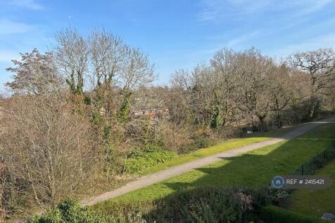View From House 3