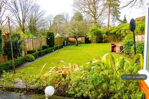 Back Garden