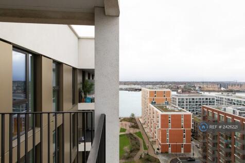 Unbridled Views Of River And City