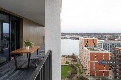 Unbridled Views Of River And City