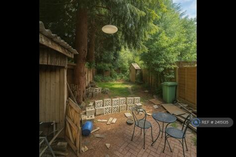 Back Garden