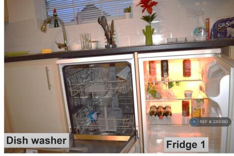 Dish Washer