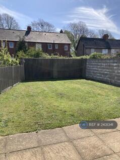 South Facing Sunny Back Garden