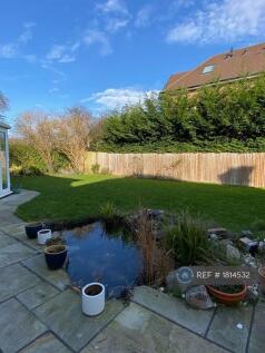 Garden With Pond