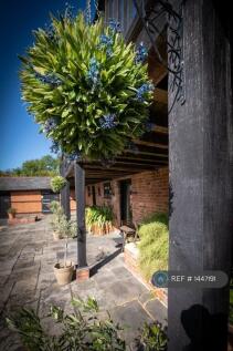 Communal Patio Area