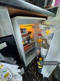 Kitchen Fridge