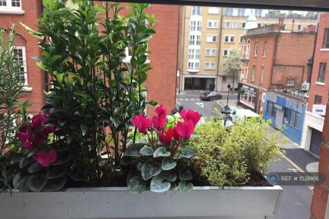  Views From The Window 