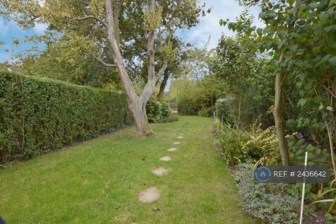 Back Garden