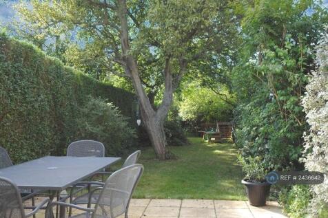 Back Garden