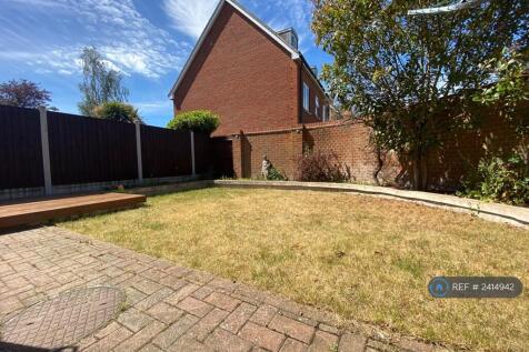Back Garden