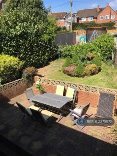 Back Garden