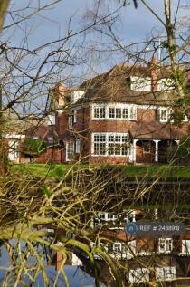 Property Image 44
