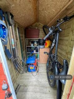 Shed
