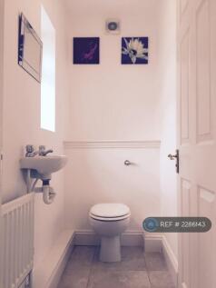 Downstairs Bathroom With Shower