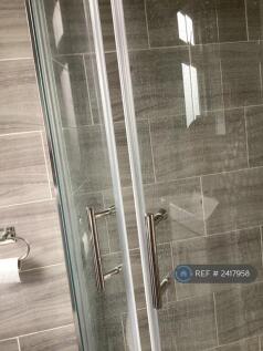 Shower Toilet