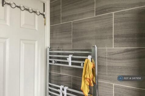 Shower Toilet