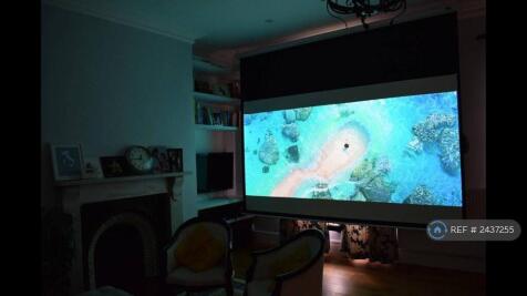 Projector And Surround Sound