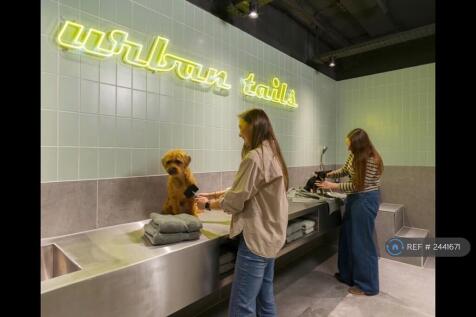 Dog Spa