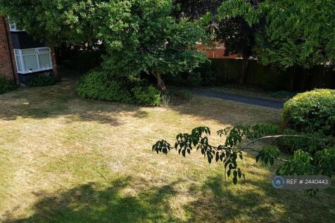 Communal Garden