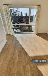Panoramic Window