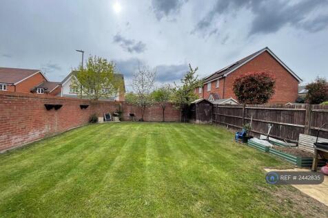 Back Garden