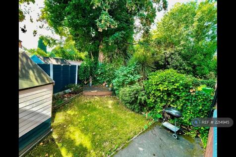 Back Garden 1